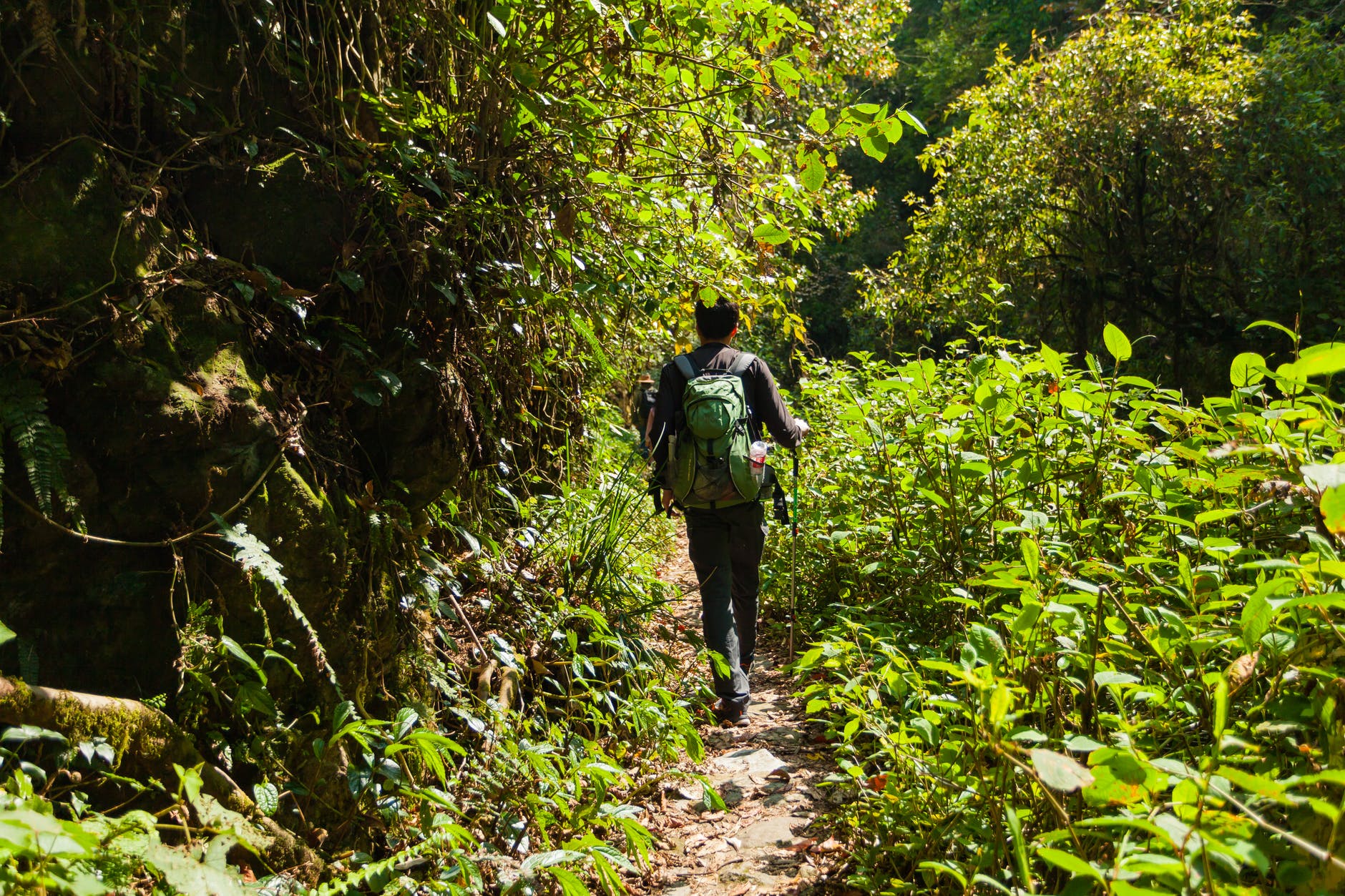 A que llamamos biodiversidad