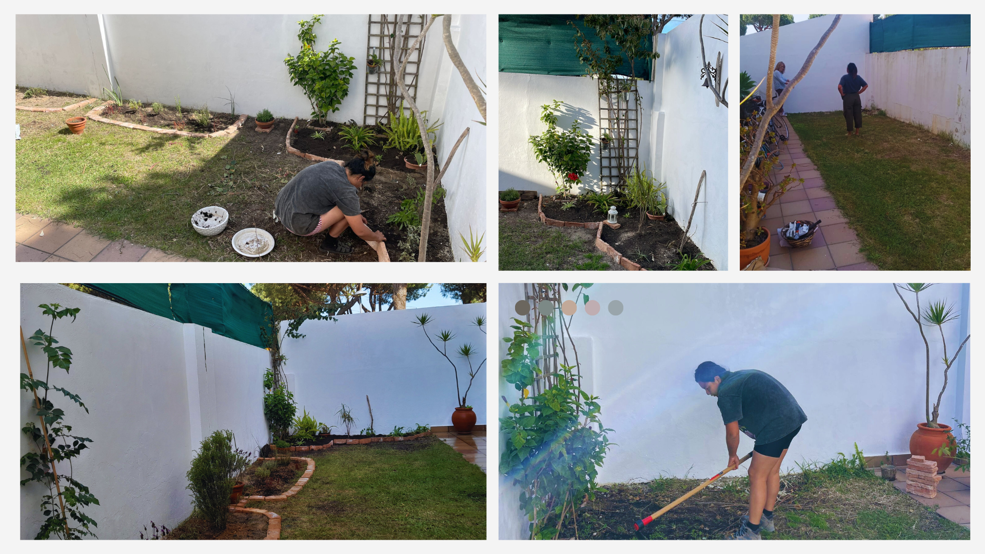 El jardín en proceso