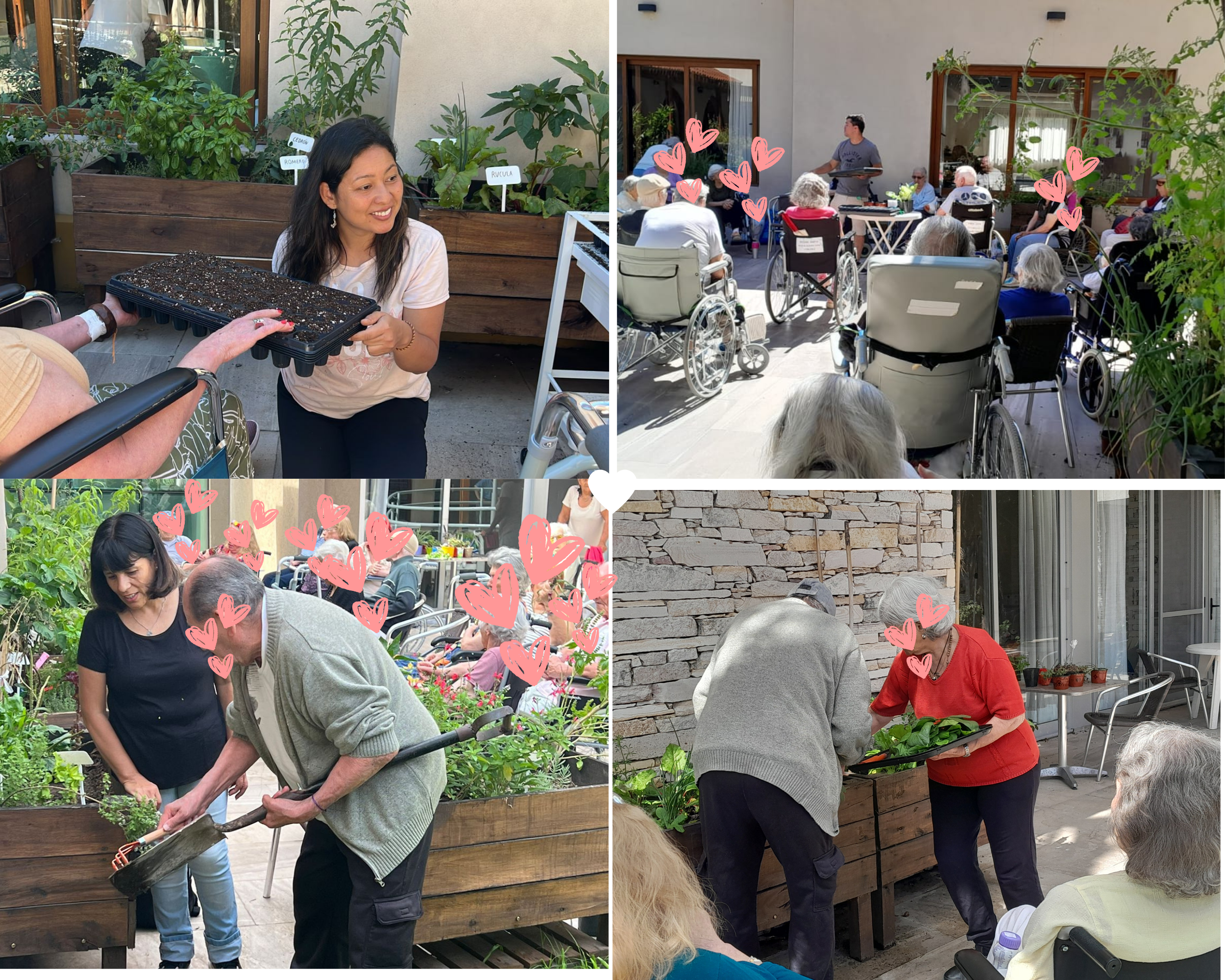 Jardines para el bienestar social e inclusivo